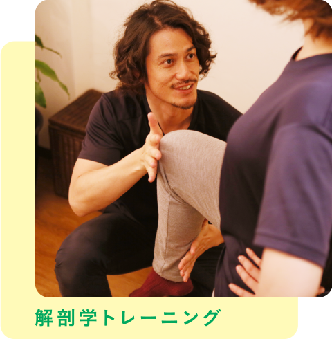 解剖学トレーニング